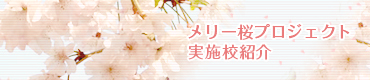 メリー 桜プロジェクト始動!