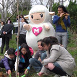 奈良県五條市立宇智小学校 画像