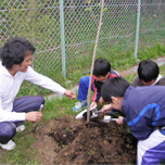 宮城県気仙沼市気仙沼小学校 画像