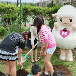 沼津市立原小学校 画像