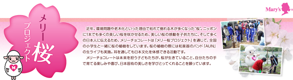 メリー 桜プロジェクト 近年、環境問題や老木化といった理由で枯れて倒れる木が多くなった“桜”。ニッポンに1本でも多くの美しい桜を咲かせるため、美しい桜の感動を子供たちに、そして多くの日本人に伝えるため、メリーチョコレートは「メリー桜プロジェクト」を通じて、全国の小学生と一緒に桜の植樹をしています。桜の植樹の際には和楽器のバンド「AUN」の生ライブも実施。耳を通しても日本文化を体感できる活動です。メリーチョコレートは未来を担う子どもたちが、桜が生きていること、自分たちの手で育てる楽しみや喜び、日本固有の美しさを学びとってくれることを願っています。