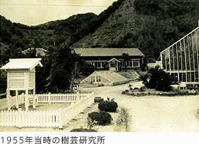1955年当時の樹芸研究所