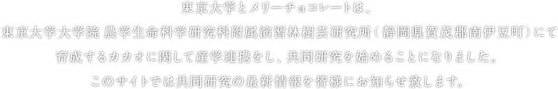 東京大学とメリーチョコレートは、東京大学大学院農学生命科学研究科附属演習林樹芸研究所（静岡県賀茂郡南伊豆町）にて育成するカカオに関して産学連携をし、共同研究を始めることになりました。このサイトでは共同研究の最新情報を皆様にお知らせ致します。