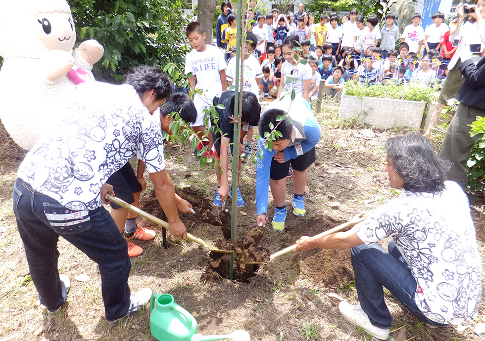 メリー桜プロジェクト　船橋市立湊町小学校