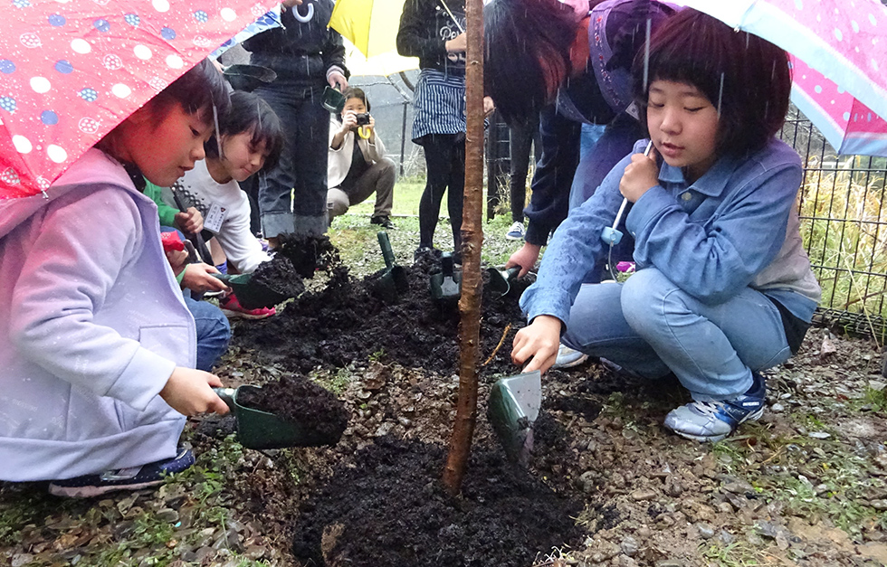 メリー桜プロジェクト　相良村立相良北小学校