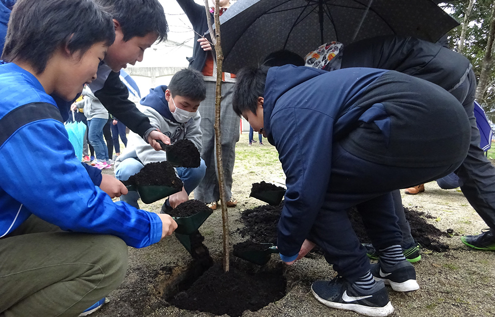 メリー桜プロジェクト　相良村立相良南小学校