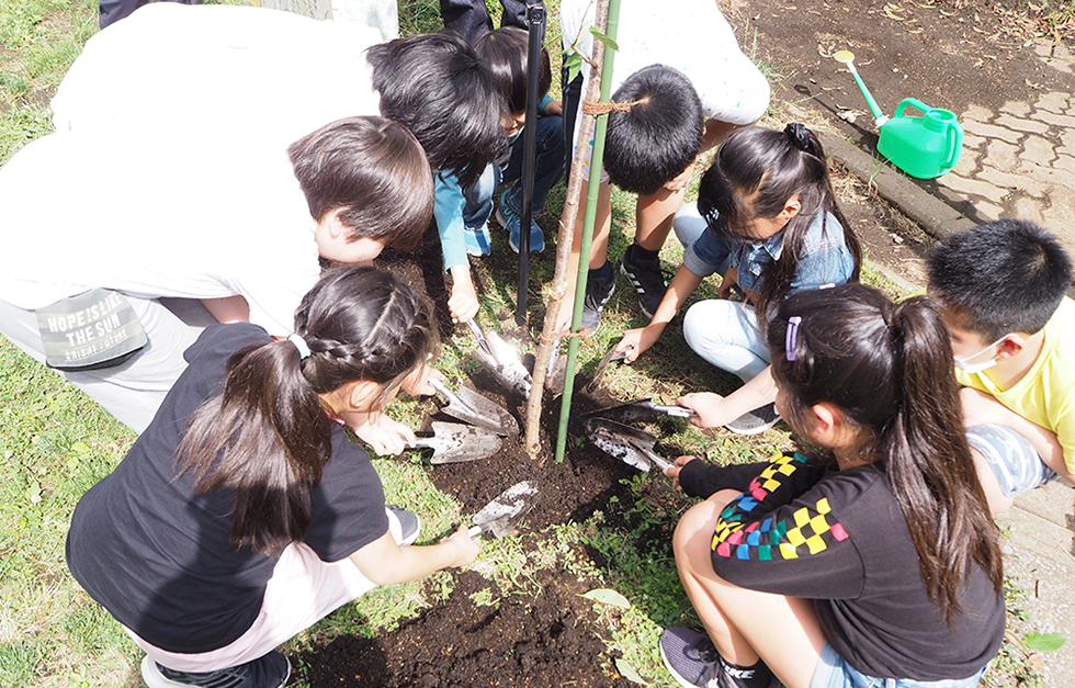 メリー桜プロジェクト　相横浜市立永田台小学校