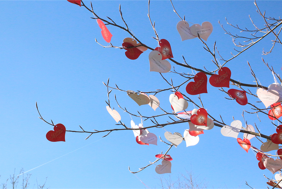 愛の木へメッセージカードが届きました