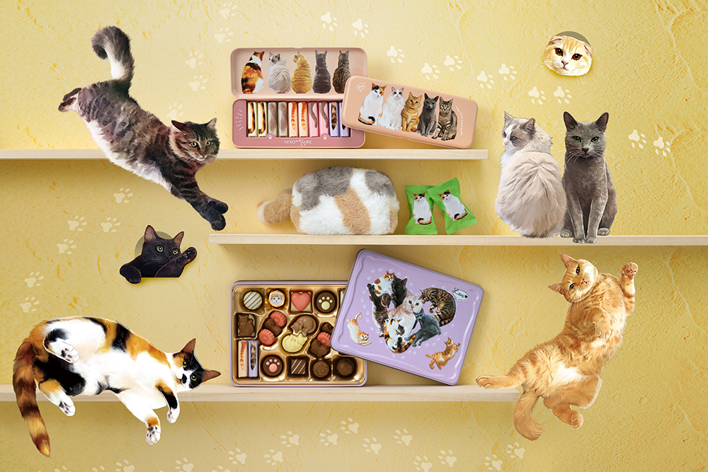 2026年メリーチョコレートバレンタイン　猫好き必見！愛おしい仕草や表情を詰め込んだバレンタイン限定「ねこみゃみれ」が新商品を含むラインナップで登場！