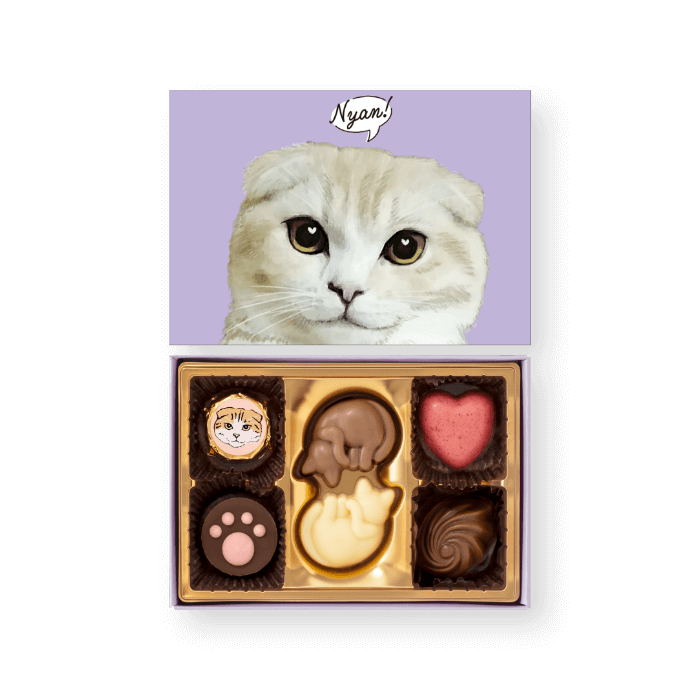 にゃそーてっどチョコレート - 6個入