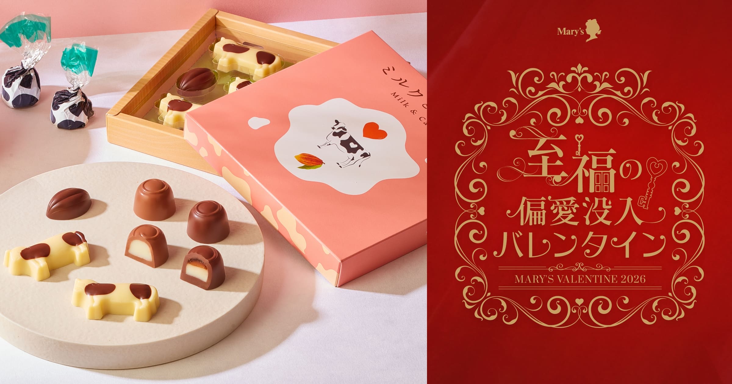 ミルクとカカオ｜バレンタインコレクション2026｜メリーチョコレート